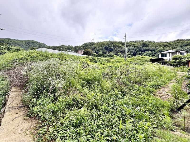 경기도 광주시 퇴촌면 영동리  구거(개울)붙은평지의 토지_8