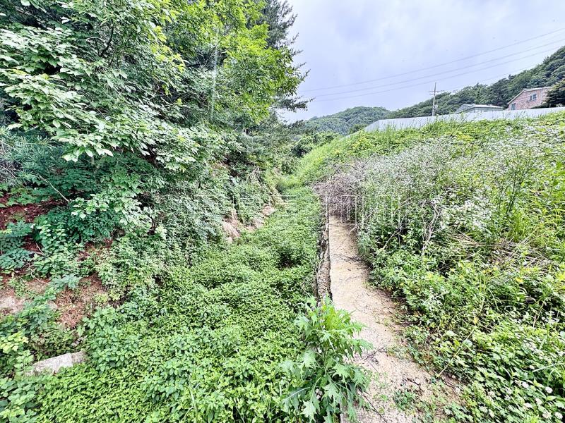 경기도 광주시 퇴촌면 영동리  구거(개울)붙은평지의 토지_9