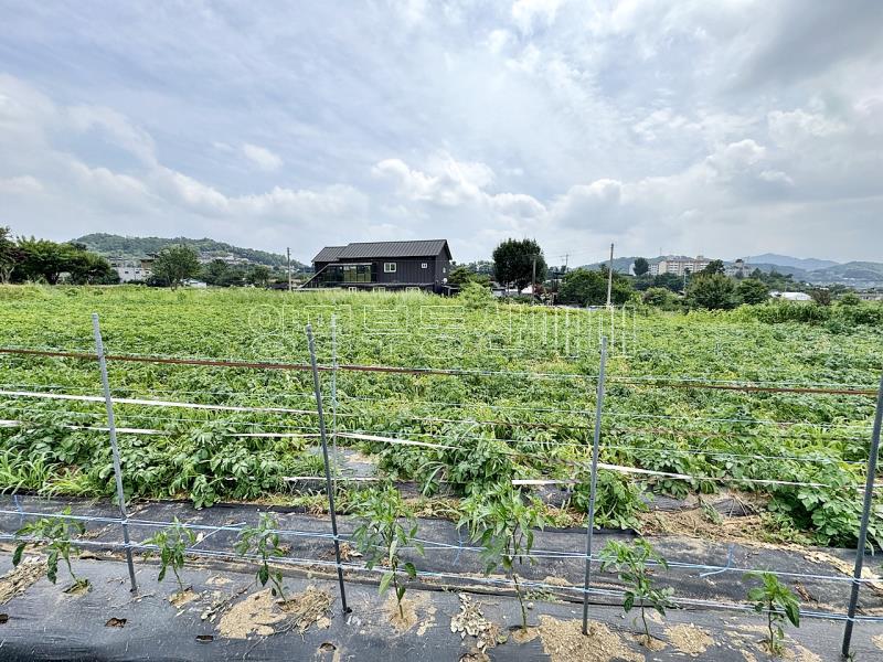 양평군 옥천면 용천리 농림지(진흥구역)_4