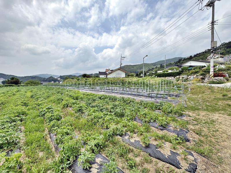양평군 옥천면 용천리 농림지(진흥구역)_6