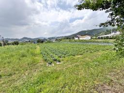 양평군 옥천면 용천리 농림지(진흥구역)_썸네일_10