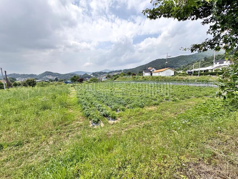양평군 옥천면 용천리 농림지(진흥구역)_10