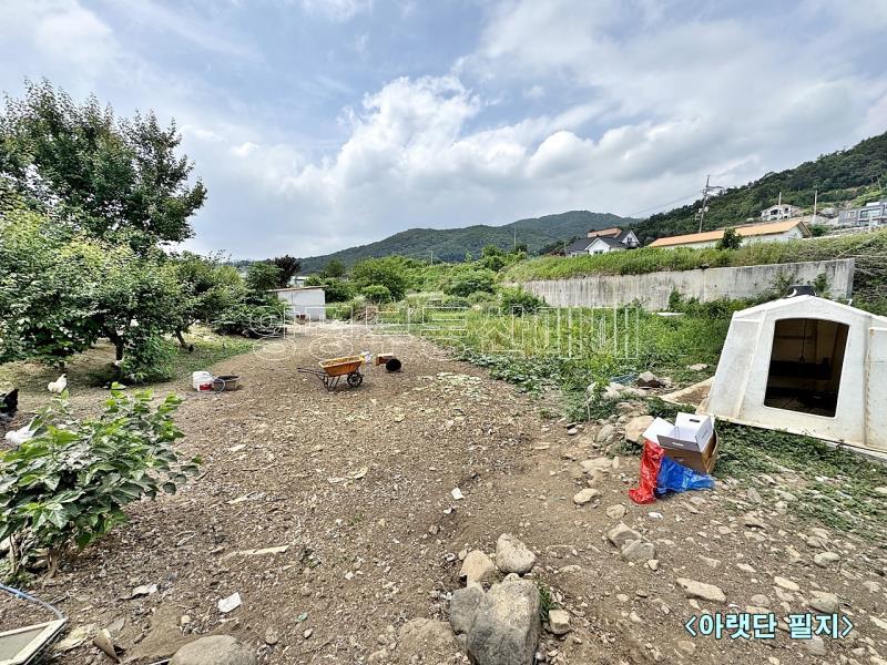 양평군 옥천면 용천리 농림지(진흥구역)_11