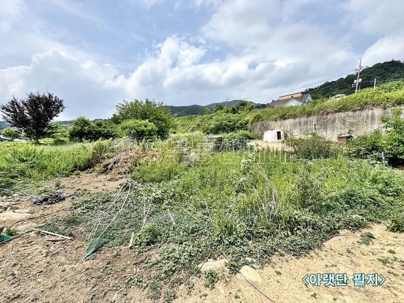 양평군 옥천면 용천리 농림지(진흥구역)_13