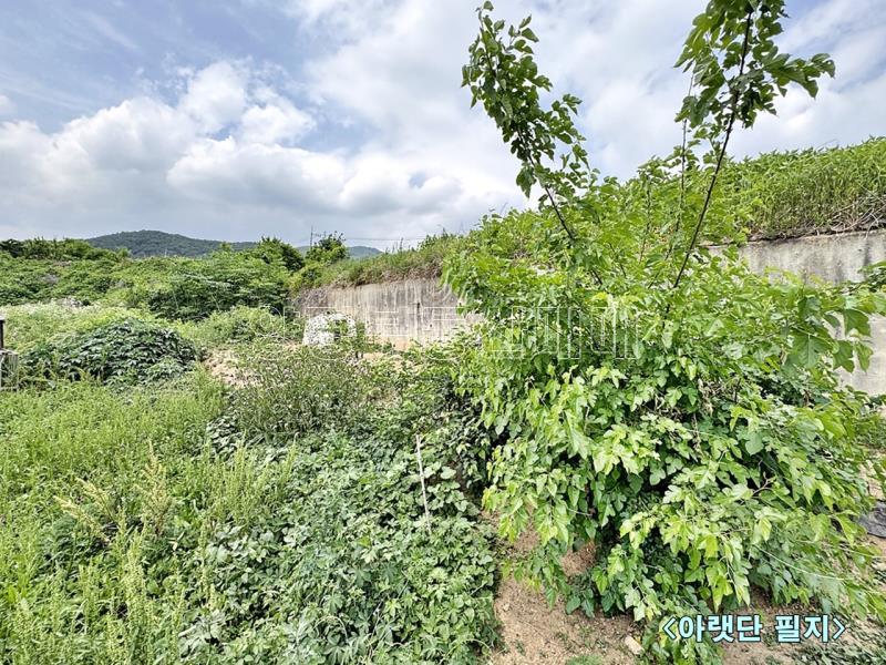 양평군 옥천면 용천리 농림지(진흥구역)_16