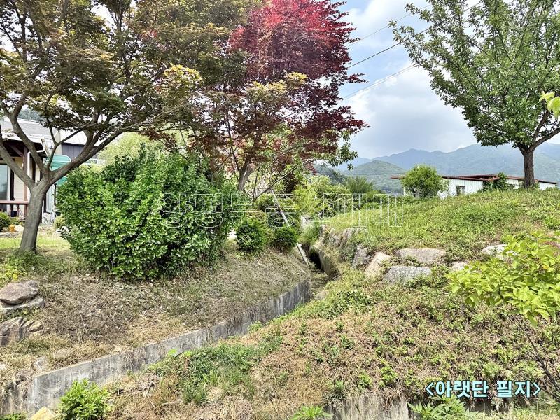 양평군 옥천면 용천리 농림지(진흥구역)_21