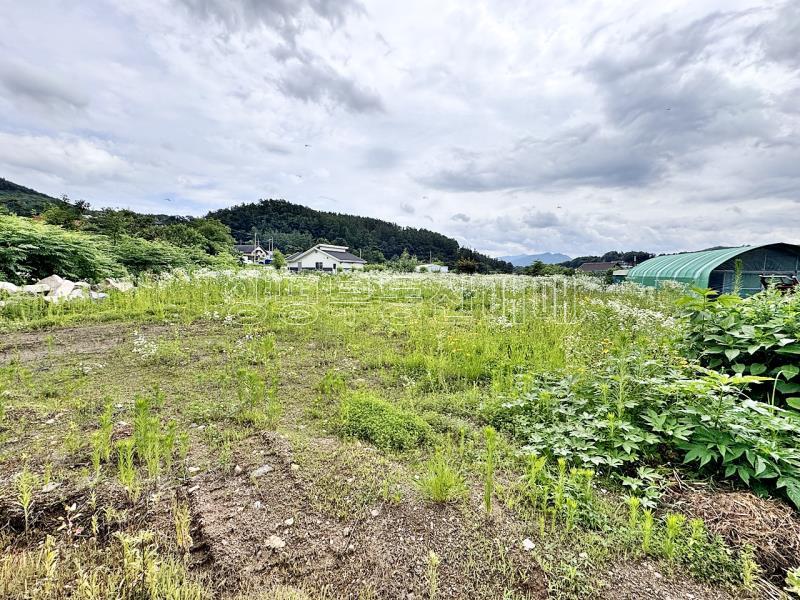 양평군 옥천면 신복리 평지의 대지_10
