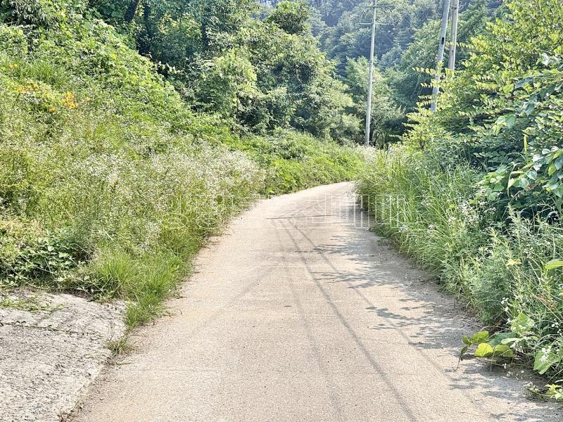 양평군 옥천면 신복리_3