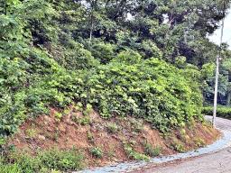 경기도 광주시 퇴촌면 무수리 국유지도로 접한토지 작은토지_썸네일_3