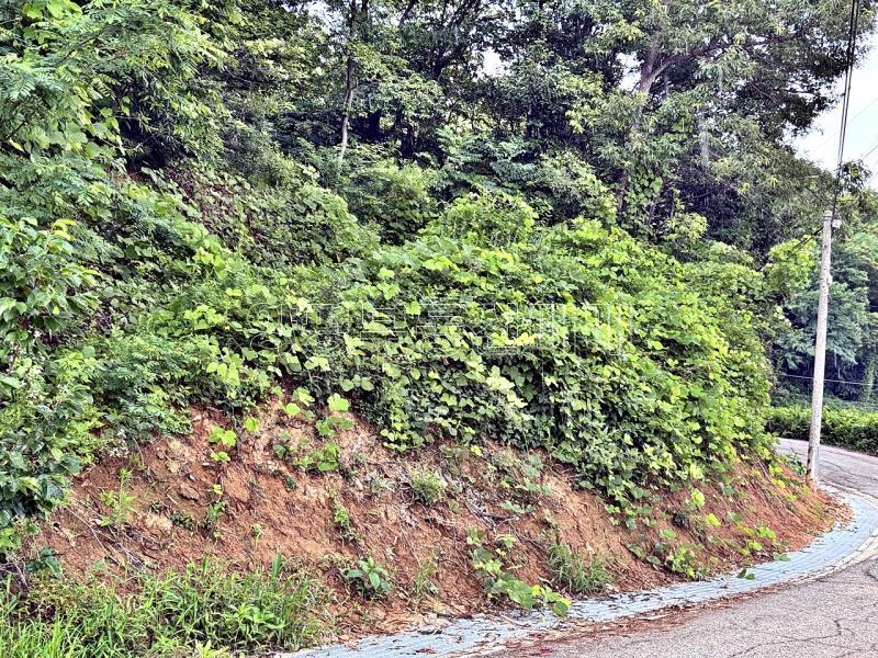 경기도 광주시 퇴촌면 무수리 국유지도로 접한토지 작은토지_3