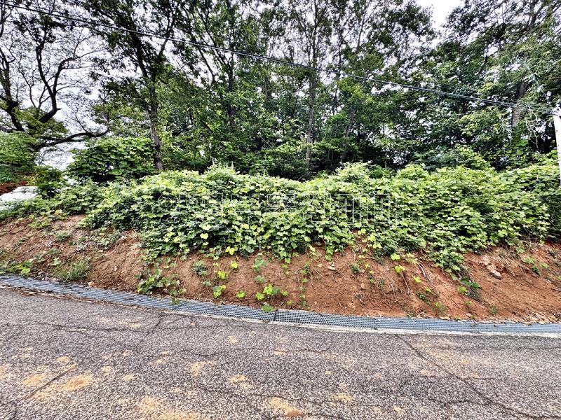 경기도 광주시 퇴촌면 무수리 국유지도로 접한토지 작은토지_5