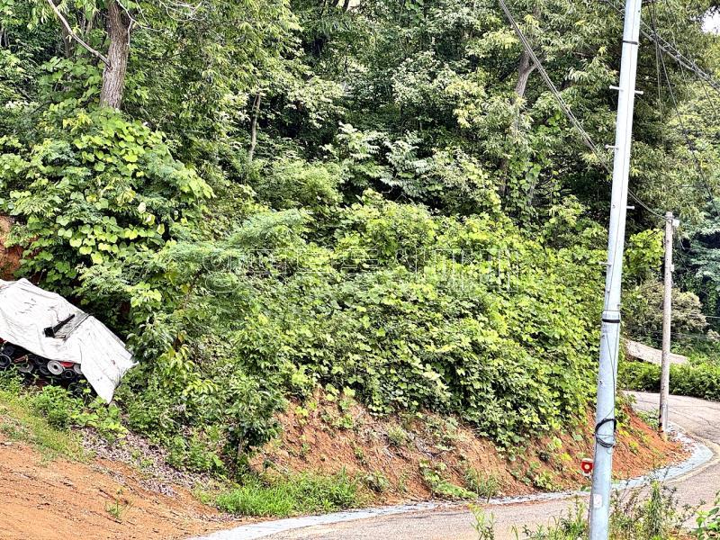 경기도 광주시 퇴촌면 무수리 국유지도로 접한토지 작은토지_8