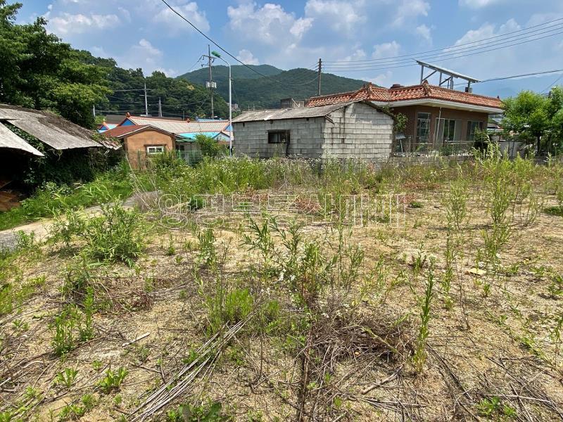 양평군 옥천면 옥천리 도로변 계획관리토지_9