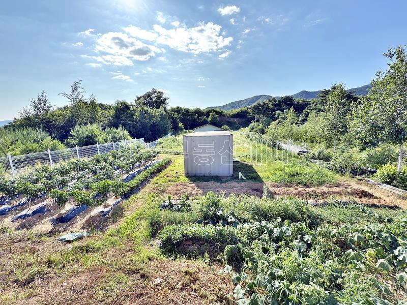 양평군 옥천면 용천리 토목완료토지_15