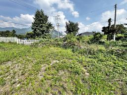 양평군 옥천면 용천리 2차선변 토지