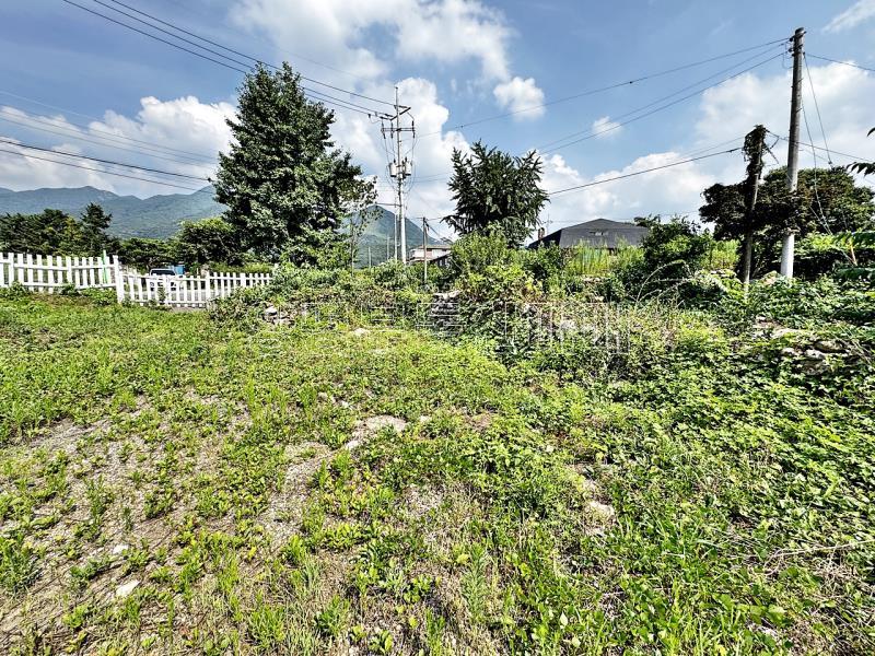 양평군 옥천면 용천리 2차선변 토지_2