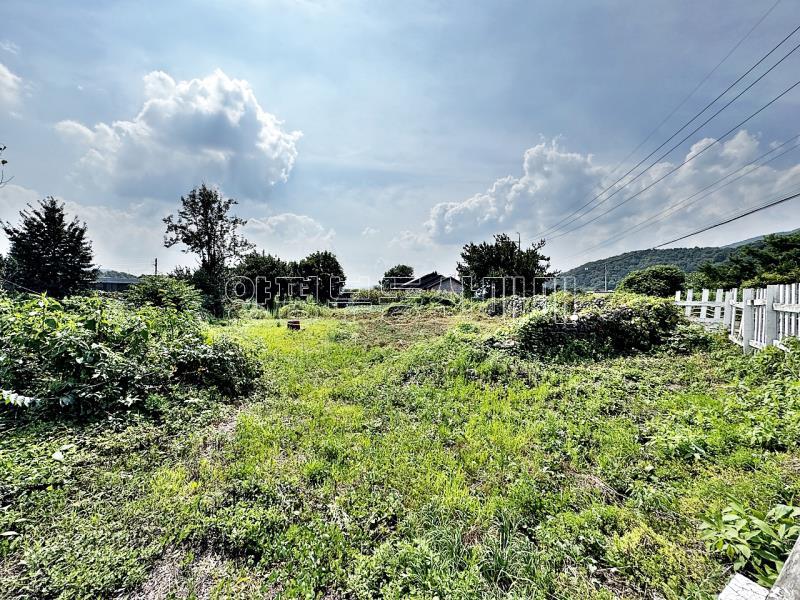 양평군 옥천면 용천리 2차선변 토지_9