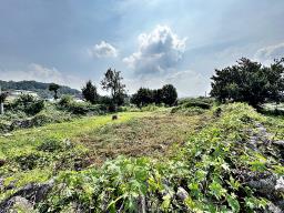 양평군 옥천면 용천리 2차선변 토지_썸네일_12