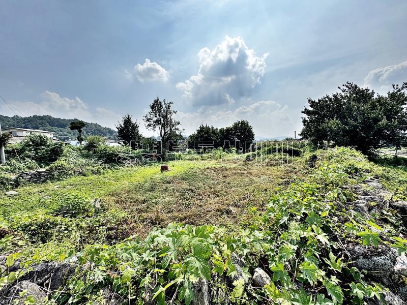 양평군 옥천면 용천리 2차선변 토지_12