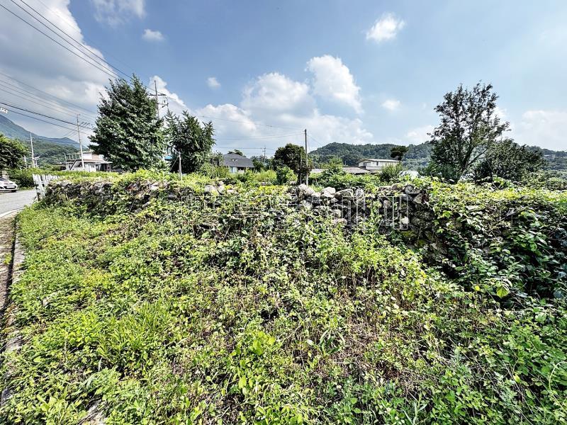 양평군 옥천면 용천리 2차선변 토지_13