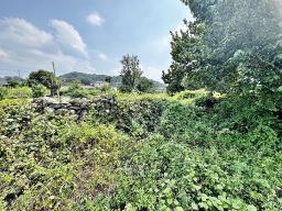 양평군 옥천면 용천리 2차선변 토지_썸네일_14