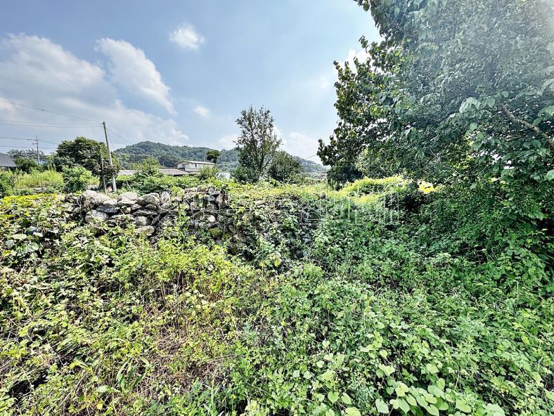 양평군 옥천면 용천리 2차선변 토지_14