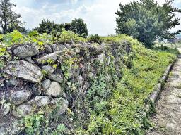 양평군 옥천면 용천리 2차선변 토지_썸네일_15