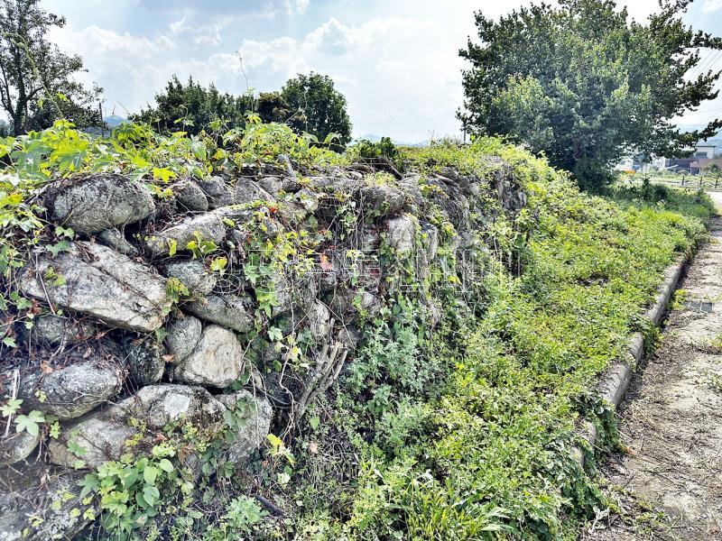 양평군 옥천면 용천리 2차선변 토지_15
