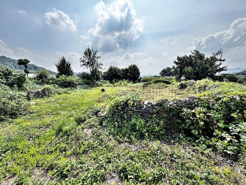 양평군 옥천면 용천리 2차선변 토지_16