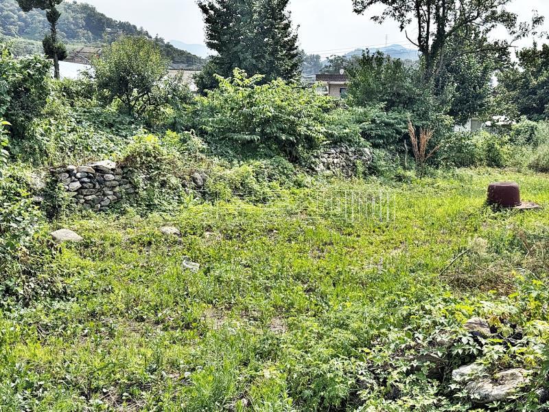 양평군 옥천면 용천리 2차선변 토지_17