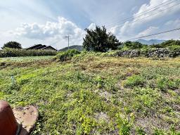 양평군 옥천면 용천리 2차선변 토지_썸네일_18