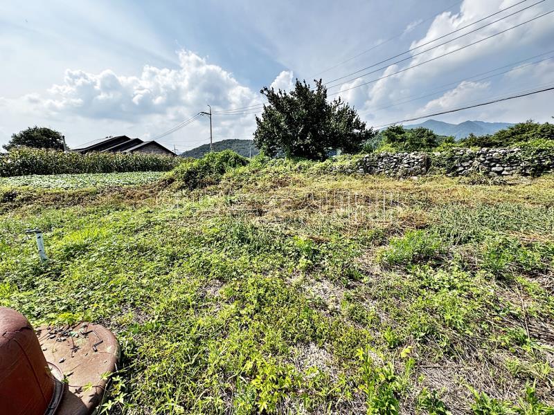 양평군 옥천면 용천리 2차선변 토지_18