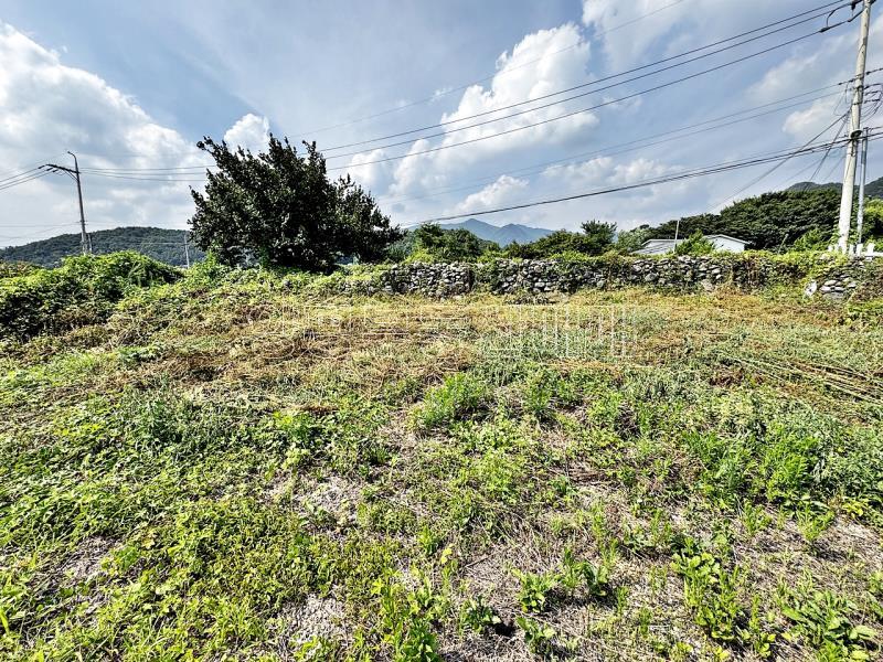 양평군 옥천면 용천리 2차선변 토지_19