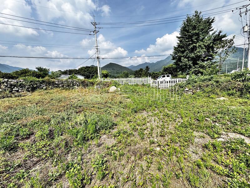 양평군 옥천면 용천리 2차선변 토지_20