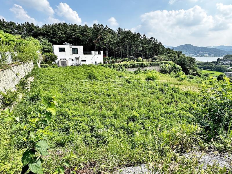 양평군 양서면 복포리 토목된 토지_1