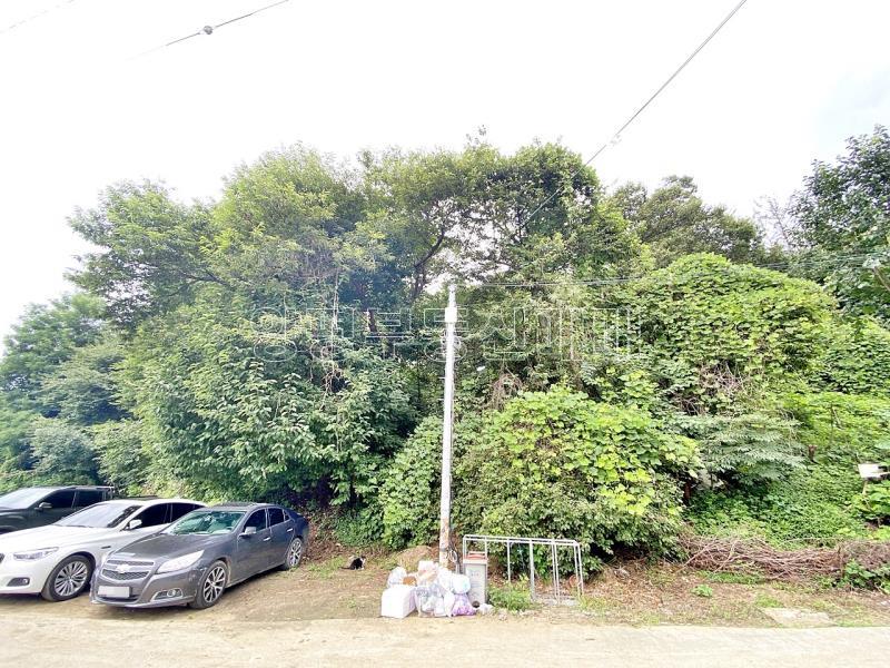 양평군 양서면 아신리 관리지역 1.153평 임야_1
