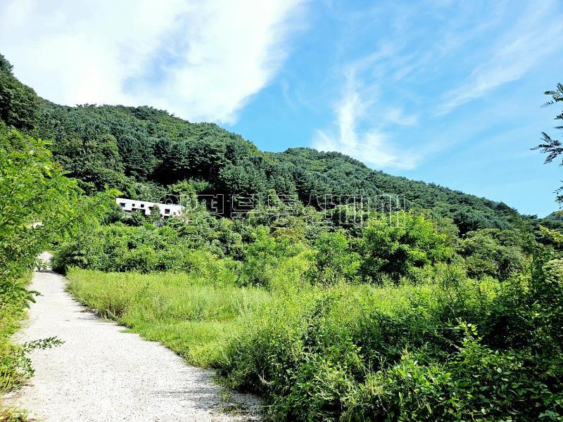 양평군 옥천면 용천리 미개발지_2