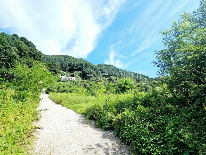 양평군 옥천면 용천리 미개발지_3