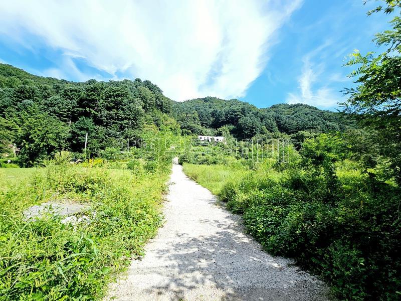 양평군 옥천면 용천리 미개발지_4