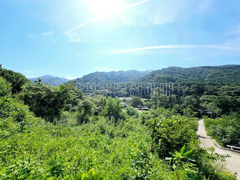 양평군 옥천면 용천리 미개발지_7