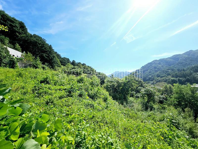 양평군 옥천면 용천리 미개발지_10