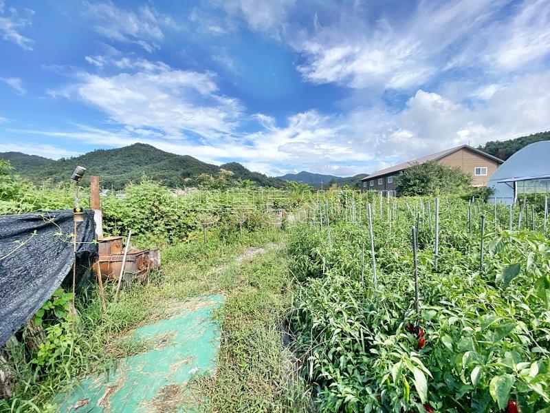 양평군 양서면 부용리 2차선변 도시지역,개발제한,녹지지역_2