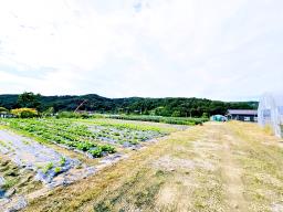 양평군 양서면 부용리 대로변 토지_썸네일_1