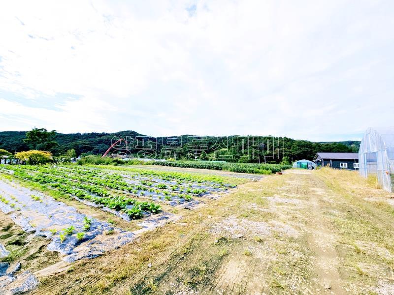 양평군 양서면 부용리 대로변 토지_1