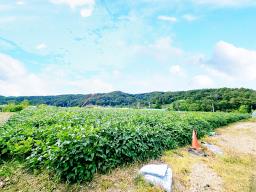 양평군 양서면 부용리 대로변 토지_썸네일_3