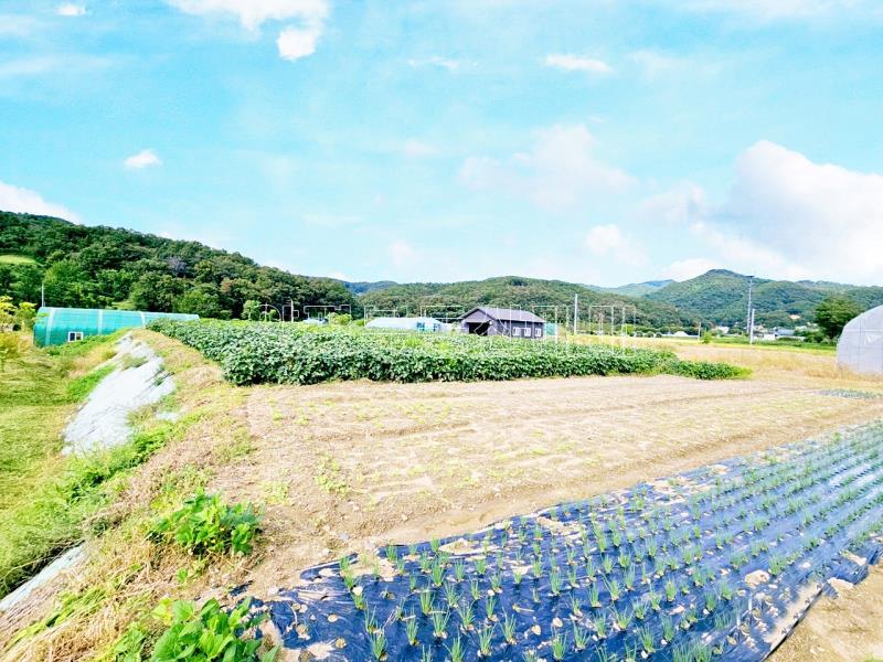 양평군 양서면 부용리 대로변 토지_4