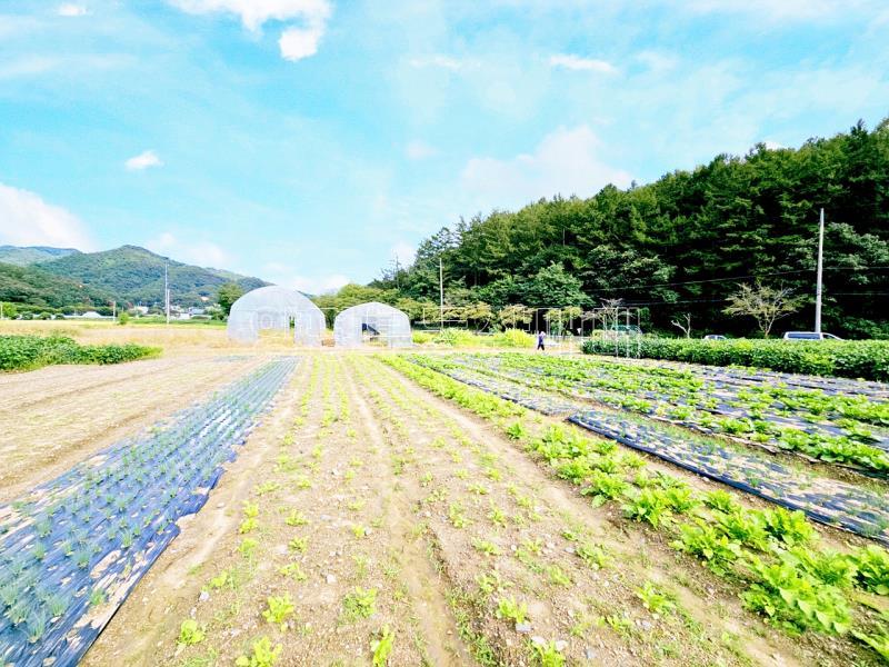 양평군 양서면 부용리 대로변 토지_6