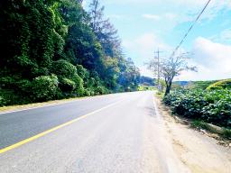 양평군 양서면 부용리 대로변 토지_썸네일_10