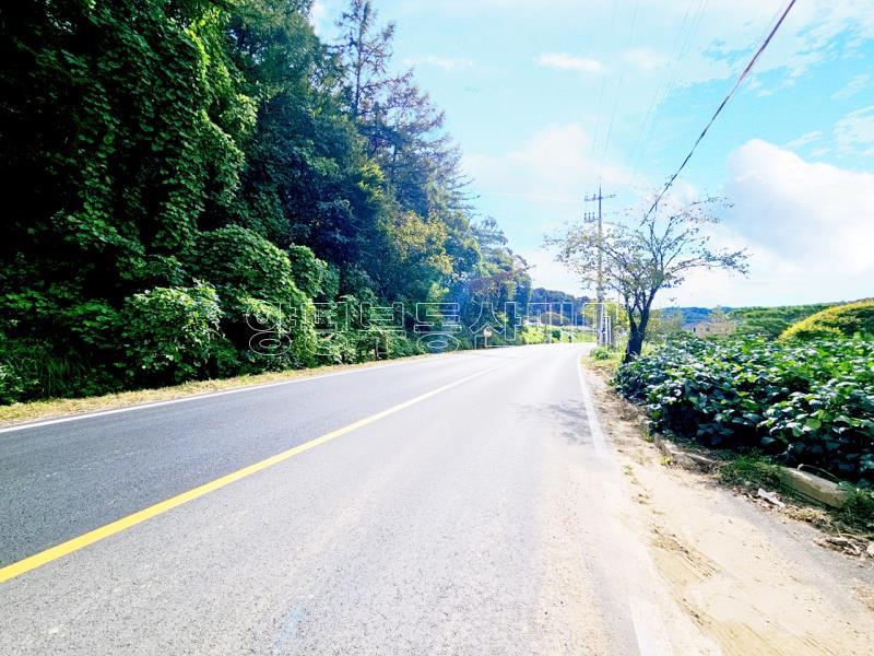 양평군 양서면 부용리 대로변 토지_10
