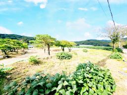 양평군 양서면 부용리 대로변 토지_썸네일_11